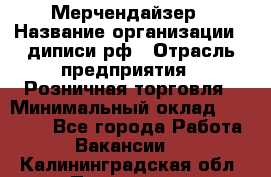 Мерчендайзер › Название организации ­ диписи.рф › Отрасль предприятия ­ Розничная торговля › Минимальный оклад ­ 25 000 - Все города Работа » Вакансии   . Калининградская обл.,Приморск г.